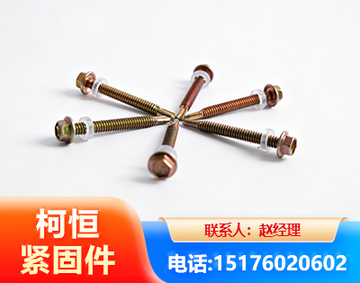马鞍山六角钻尾丝